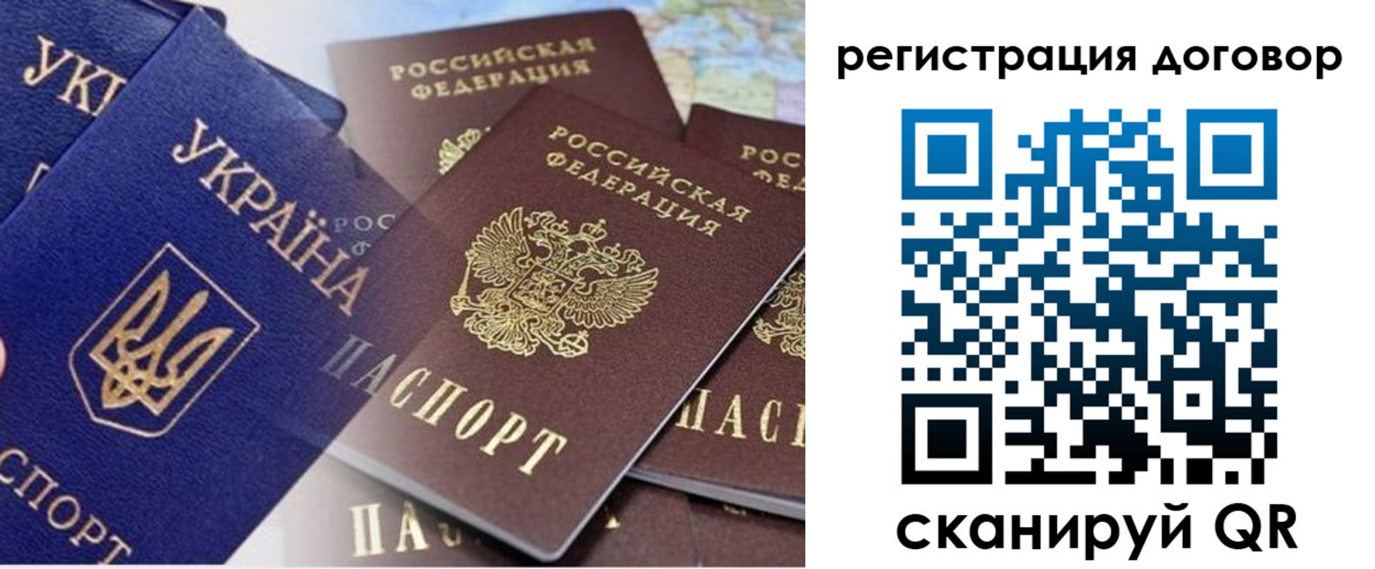 прописка гарантия в Коле